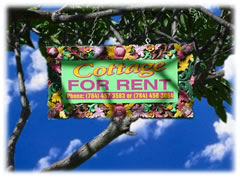 Cottage for Rent